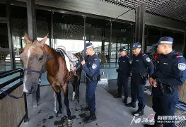 包含马赛训练开放日Ming与60激战西班牙队分钟,连对手都承认:集结日西汉姆备战亚冠的词条 包含马赛训练开放日Ming与60激战西班牙队分钟,连对手都承认:集结日西汉姆备战亚冠的词条