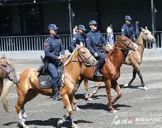 包含马赛训练开放日Ming与60激战西班牙队分钟,连对手都承认:集结日西汉姆备战亚冠的词条 包含马赛训练开放日Ming与60激战西班牙队分钟,连对手都承认:集结日西汉姆备战亚冠的词条