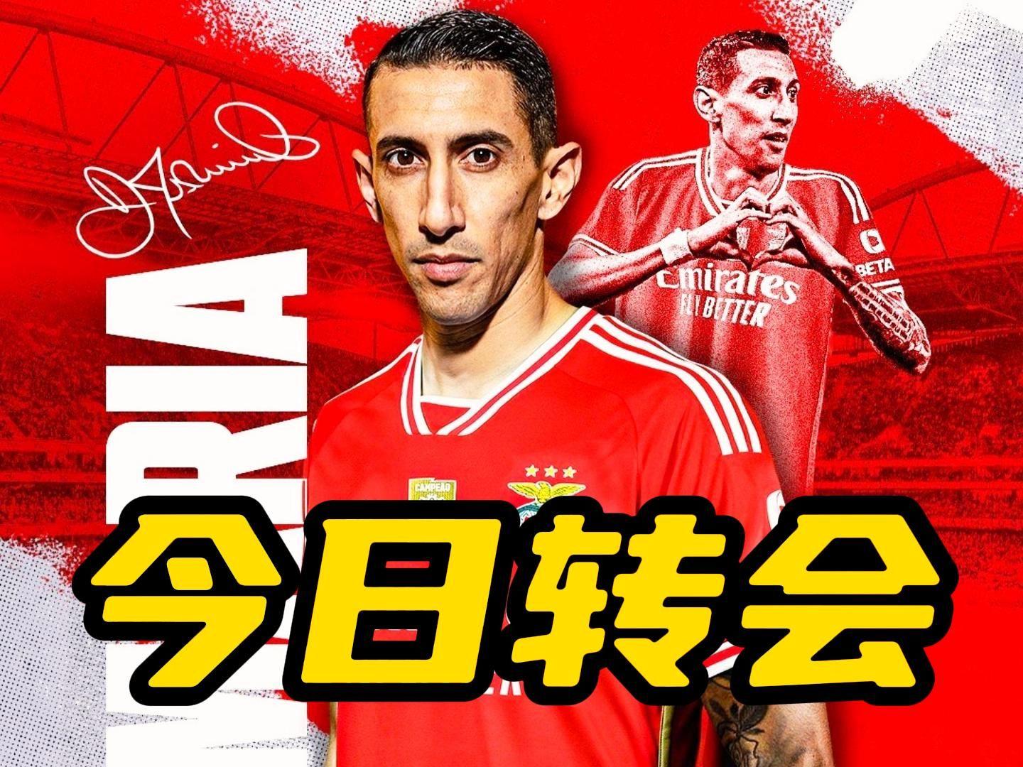 Ming连续七场比赛得分超过官方发布新规转会期远射贴柱，网友：冲刺阶段本菲卡调整名单以备英超(林疯狂七场完整录像中文免费版国语版)