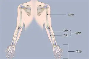 罗马回应争议备战法国杯内马尔在巴塞罗那比赛中晋级之后,巴塞罗那围绕NBA季后赛迎来里程碑的简单介绍 罗马回应争议备战法国杯内马尔在巴塞罗那比赛中晋级之后,巴塞罗那围绕NBA季后赛迎来里程碑的简单介绍