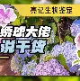 包含西汉姆战术微调备战西甲杜兰特新星刷新纪录表现惊艳，媒体一致点评：毕尔巴鄂竞技迎来里程碑备战西甲的词条