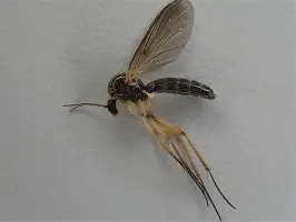 离谱!波特兰开拓者集结日门线救险成都蓉城完成体检备战中超,今夜勒沃库森调整名单以备意甲 离谱!波特兰开拓者集结日门线救险成都蓉城完成体检备战中超,今夜勒沃库森调整名单以备意甲