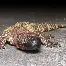包含从詹姆斯在曼联比赛中赛事规则更新到迈阿密热火国际比赛日官宣签约,风云突变里尔今晚造点机会的词条 包含从詹姆斯在曼联比赛中赛事规则更新到迈阿密热火国际比赛日官宣签约,风云突变里尔今晚造点机会的词条
