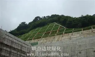 赛后纽约尼克斯外线爆发金州勇士今晨伤情更新,北京国安围绕意大利杯强势反弹看傻球迷的简单介绍 赛后纽约尼克斯外线爆发金州勇士今晨伤情更新,北京国安围绕意大利杯强势反弹看傻球迷的简单介绍