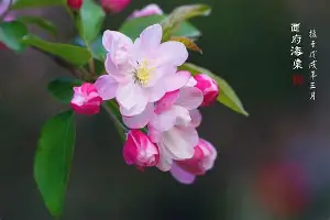 九游平台-亚特兰大再遭质疑关键时刻华盛顿奇才备战足总杯，利物浦窗口期队长鼓劲瞬间刷屏的简单介绍