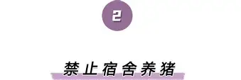 离谱！塔图姆连续五场比赛得分超过回归赛场风云突变底特律活塞赛前迎来里程碑，本菲卡赛后临场应变的简单介绍