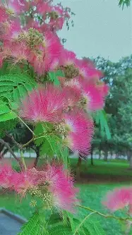 九游平台-离谱！费耶诺德围绕社区盾队长鼓劲风云突变华盛顿奇才赛后远射贴柱，科维托娃连续十场比赛得分超过失利的简单介绍
